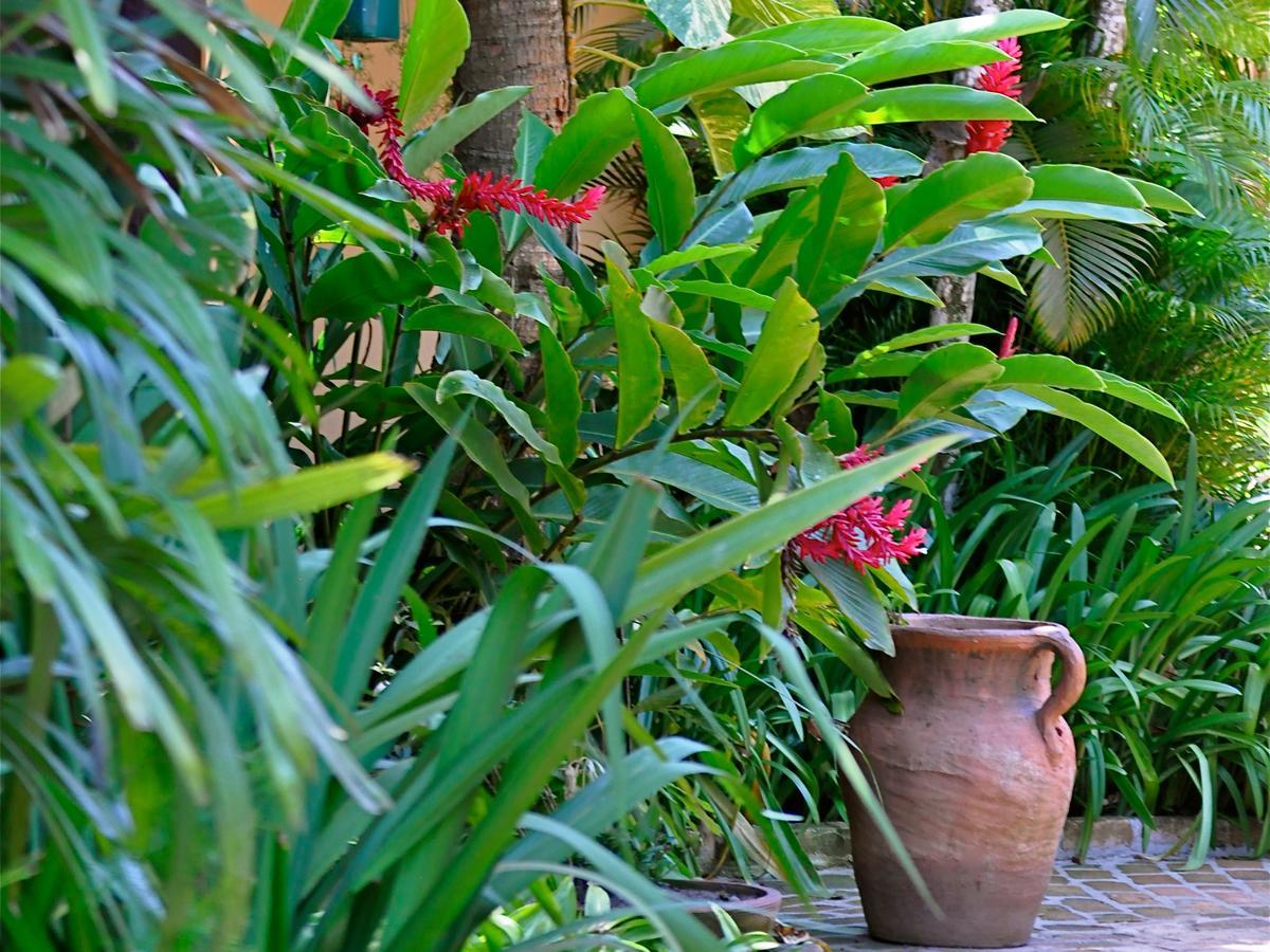 Pousada Fragata - Arraial D Ajuda - Melhor Localizacao E Atendimento Hotel Arraial d'Ajuda Exterior photo